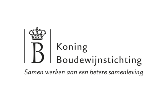 Logo Koning boudewijnstichting